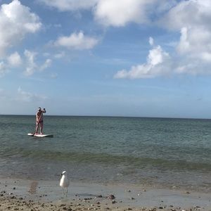 Meet your Posher, Nancy